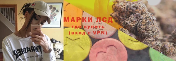 прущие грибы Пересвет