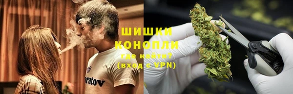 прущие грибы Пересвет