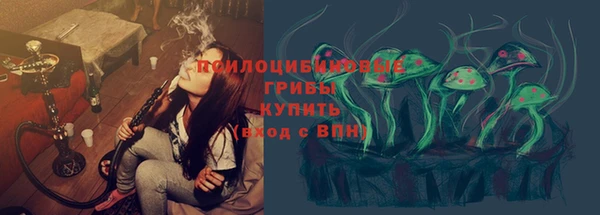 прущие грибы Пересвет
