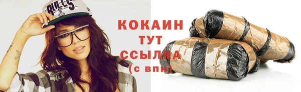 прущие грибы Пересвет