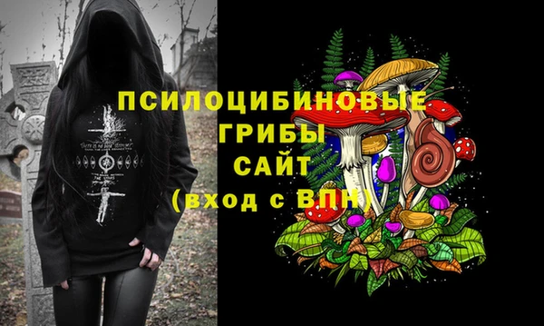 прущие крисы Зерноград
