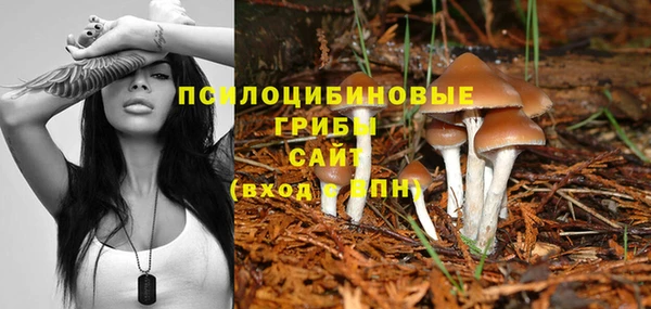 a pvp Осинники