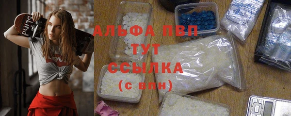 прущие грибы Пересвет
