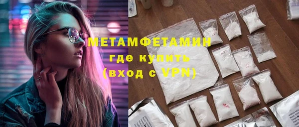 прущие грибы Пересвет
