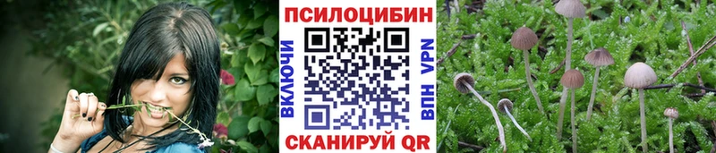 Псилоцибиновые грибы GOLDEN TEACHER  Беломорск 